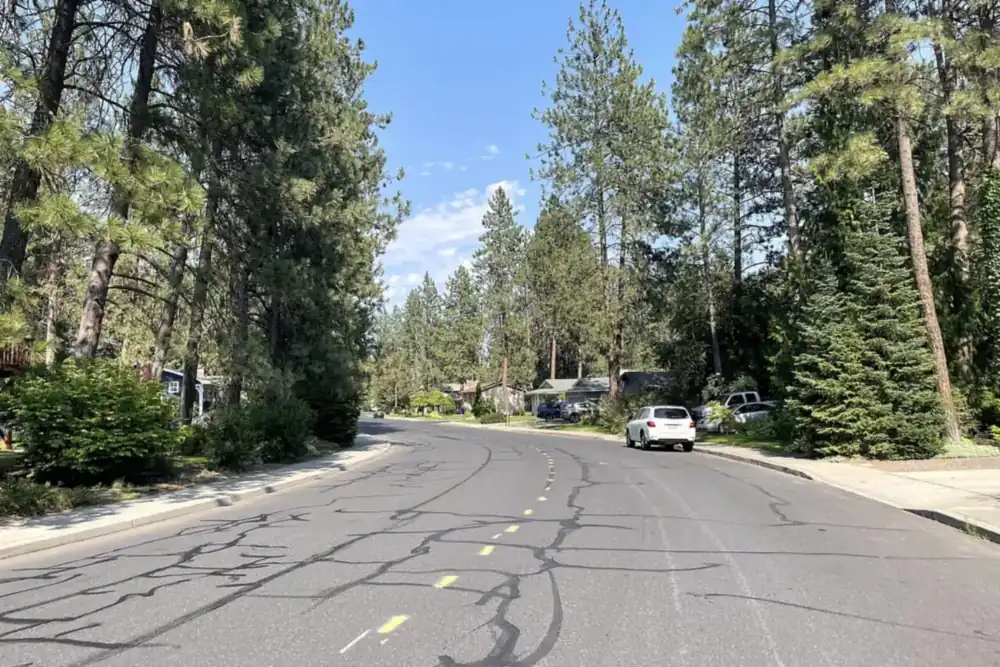 Quiet residential street lined with tall pine trees and houses in Fairwood, Washington